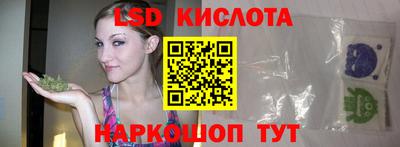 шишки Изобильный