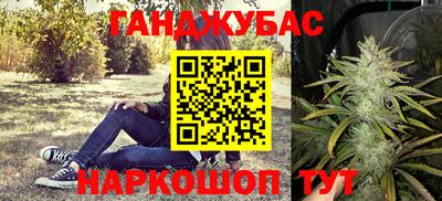 шишки Изобильный