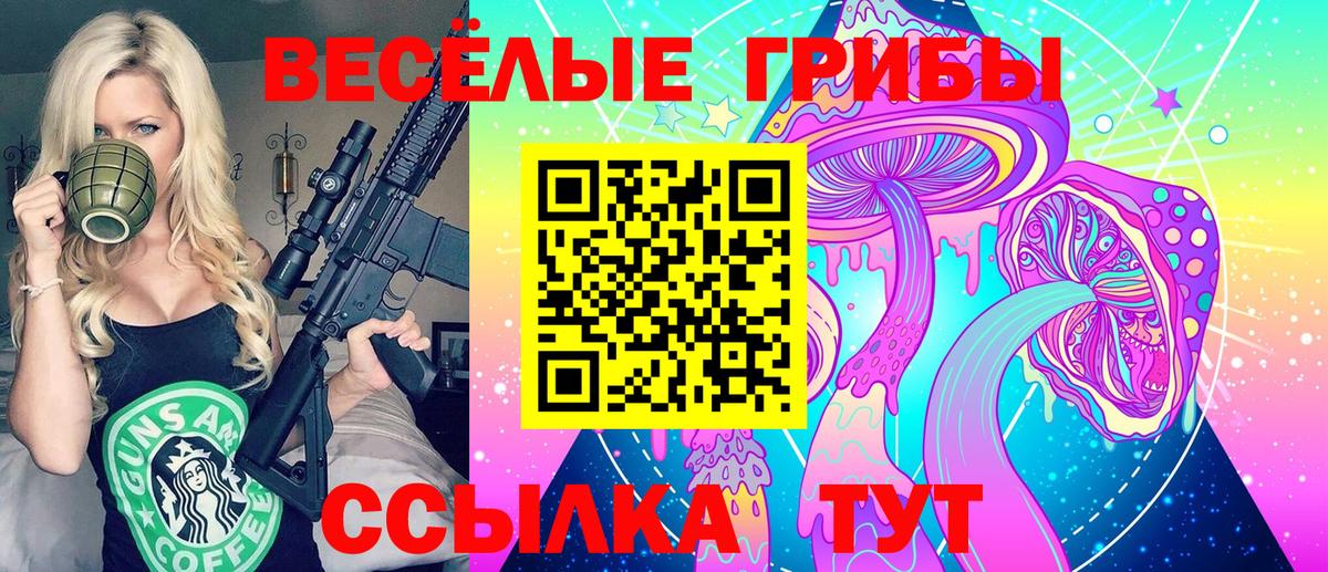 купить наркотики цена  Псилоцибиновые грибы Psilocybine cubensis  Вход с VPN  Калининград 