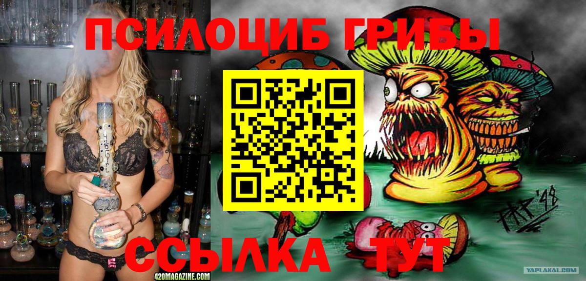 Галлюциногенные грибы GOLDEN TEACHER Калининград