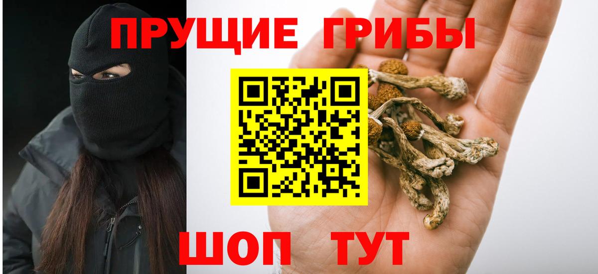 ГАШ Калининград